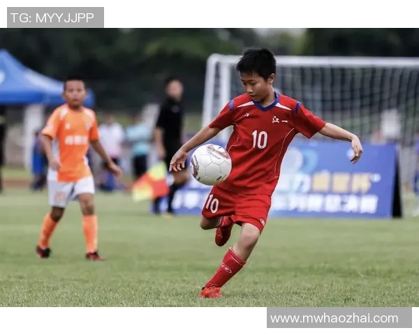 南充足球球星的崛起与发展历程揭秘,如何影响地方足球文化与青训系统 南充足球球星的崛起与发展历程揭秘,如何影响地方足球文化与青训系统