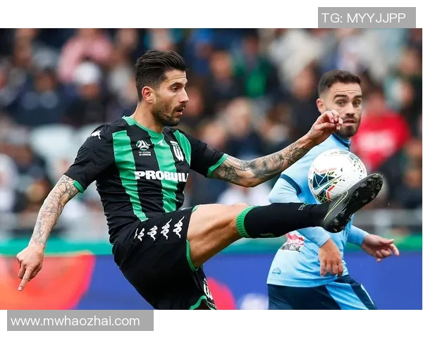 聚焦绿茵传奇探秘足球球星独门绝学与巅峰技艺风采